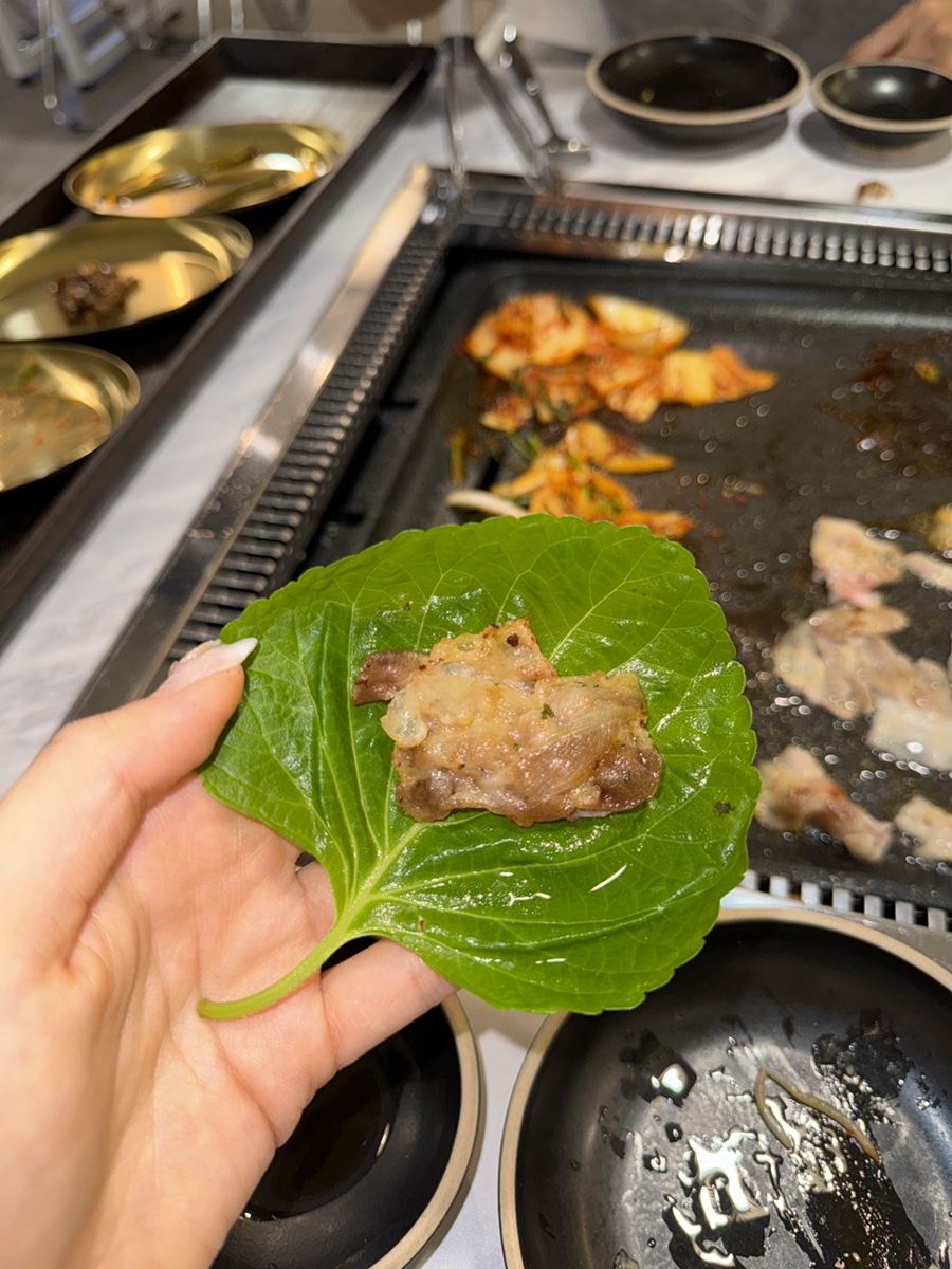 대패파 이미지