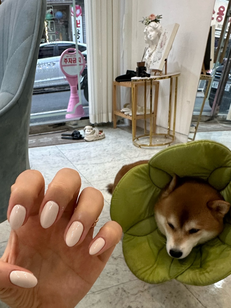 은은하당 이미지