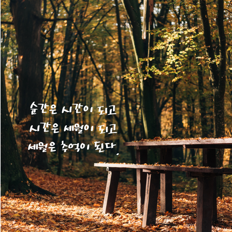 제이와이정보통신 이미지