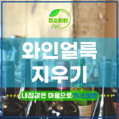 메인이미지1