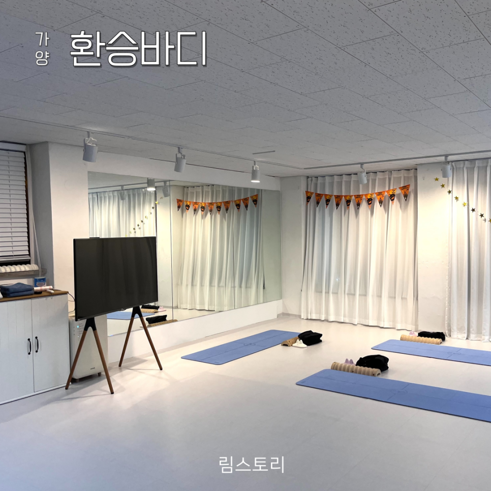 환승바디 이미지