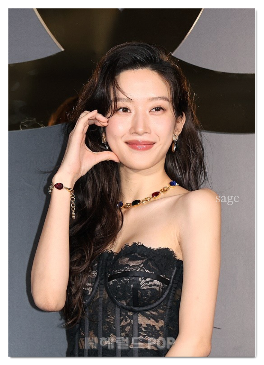 팜프헤어 이미지