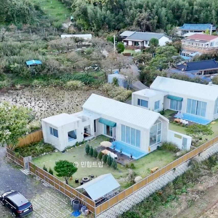 온화한가온송 이미지