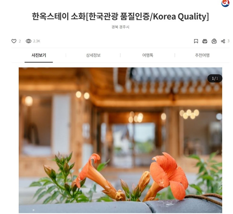스테이소화 이미지