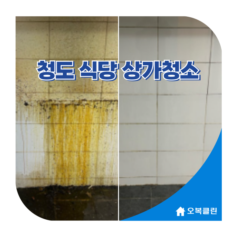 오복클린 이미지