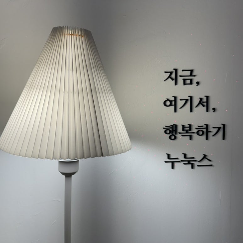누눅스 이미지
