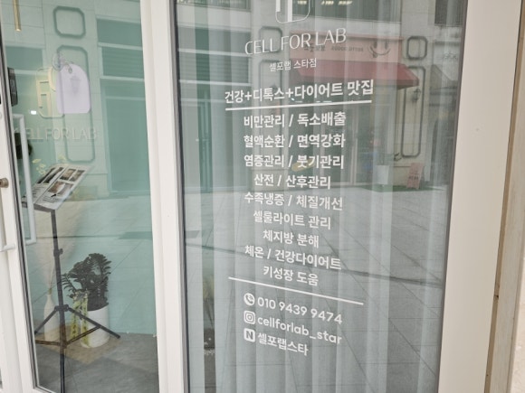 셀포랩스타 이미지