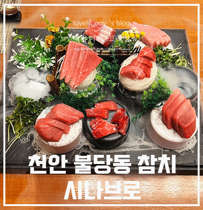 시나브로참치 이미지