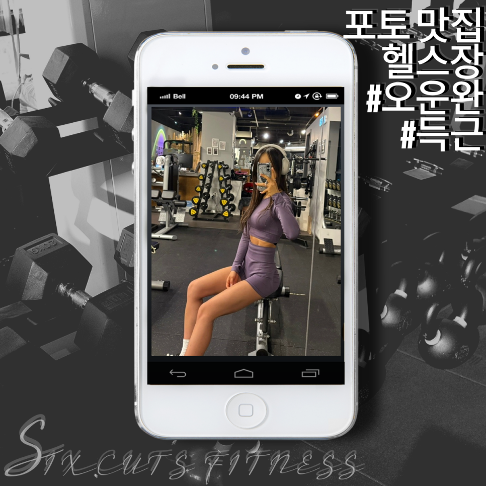 식스컷츠 이미지