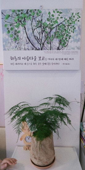 까페또봄 이미지