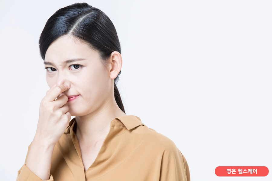 수바디 이미지