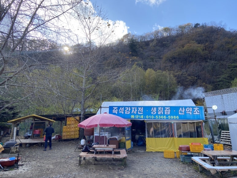 용규네 이미지