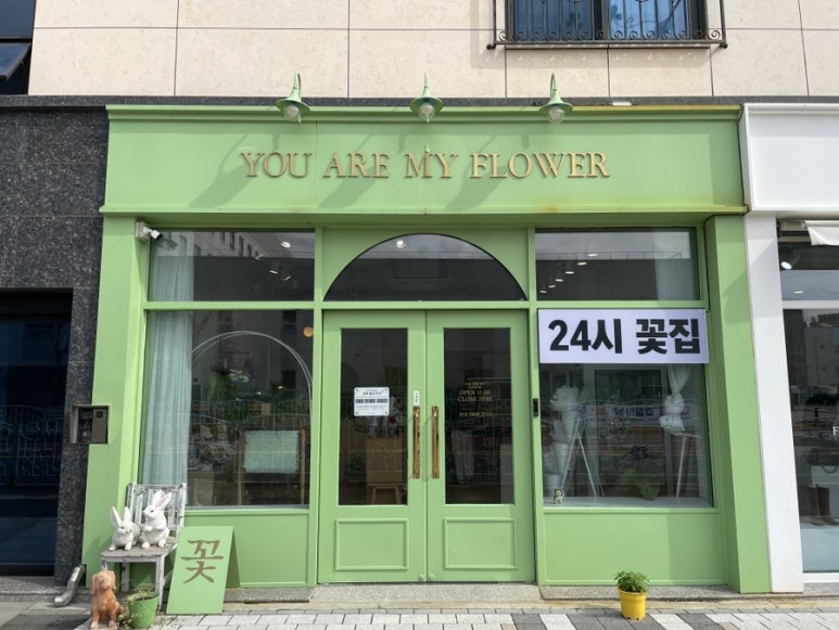너는나의꽃 이미지