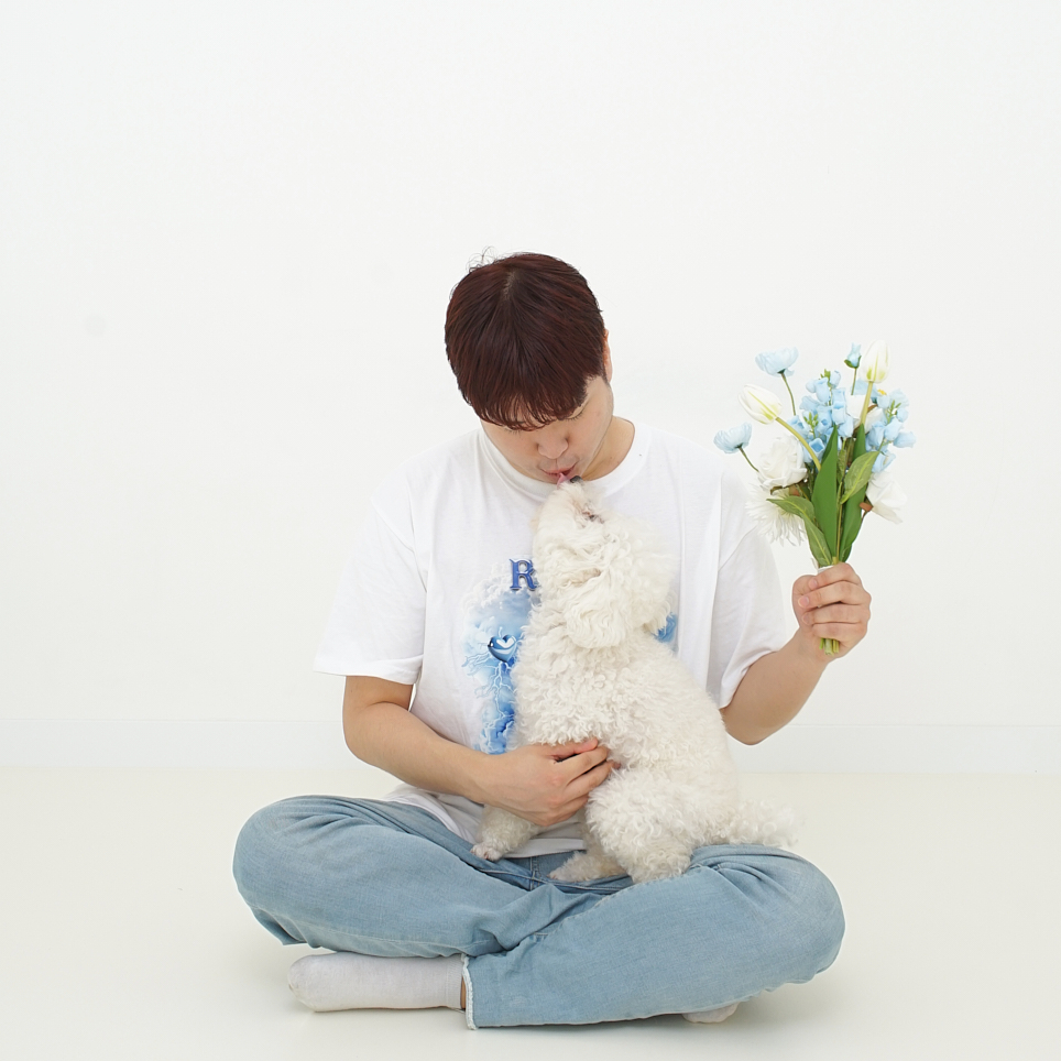 파티또예 이미지