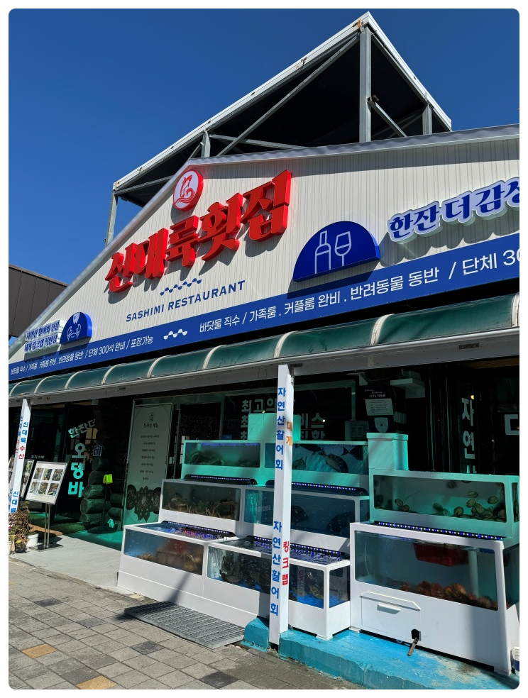 대포항횟집 이미지
