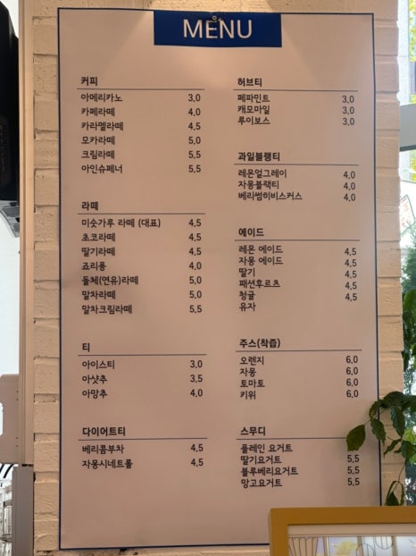 모이드모이드 이미지