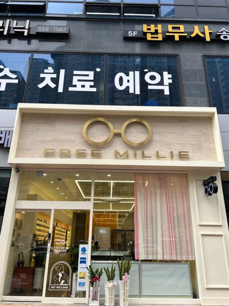 프리밀리 이미지