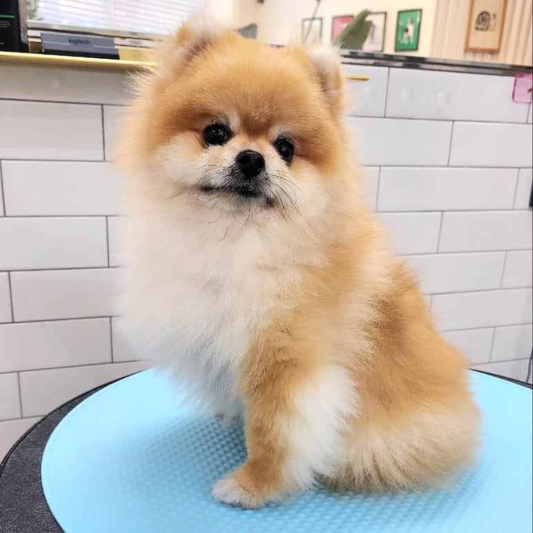 사동미장원 이미지