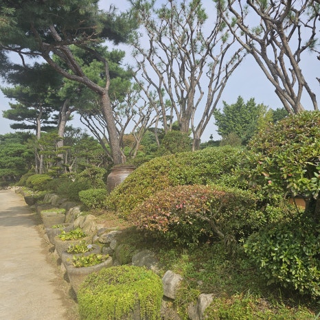 고스락 이미지