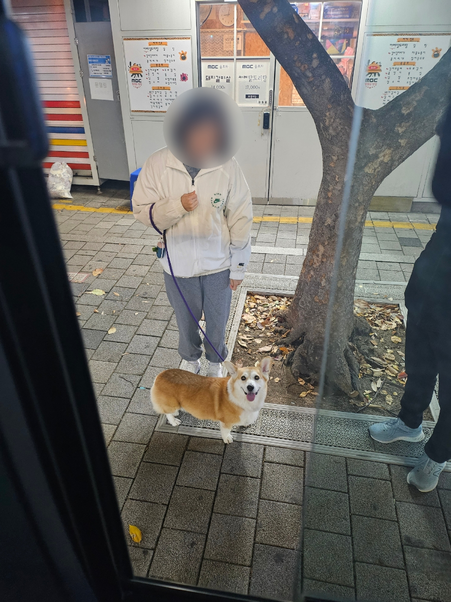 (주)쿠키 이미지