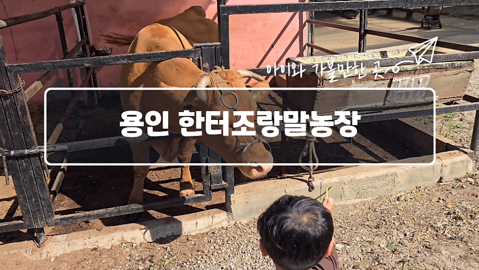 달구지농원 이미지