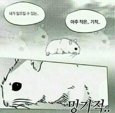밍기적 이미지