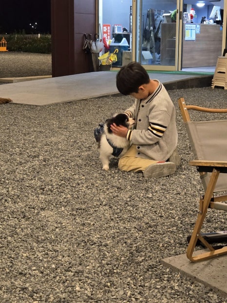 옥이쓰 이미지