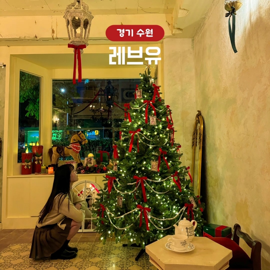 레브유 이미지