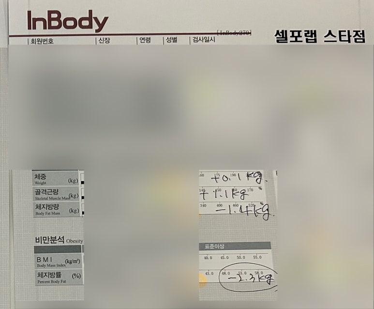 셀포랩스타 이미지