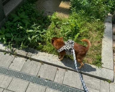 쓱싹 이미지