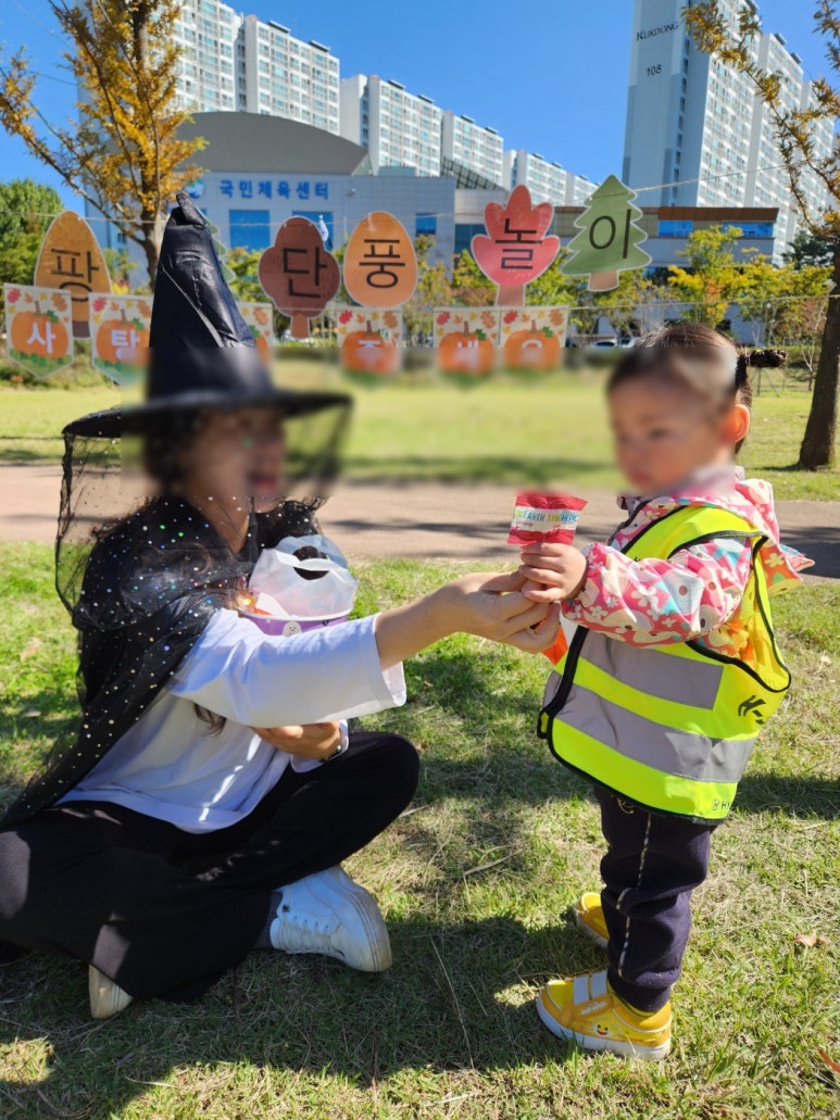 부엉이숲 이미지