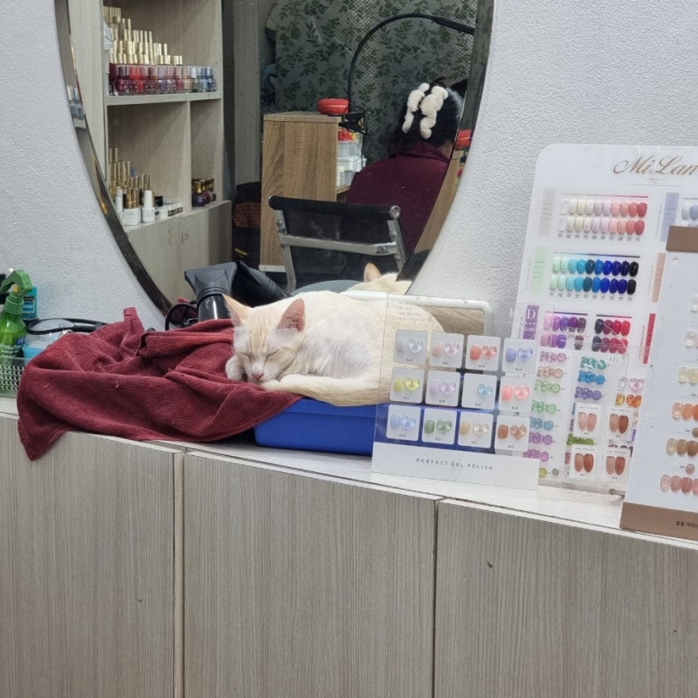 햄짱네일 이미지
