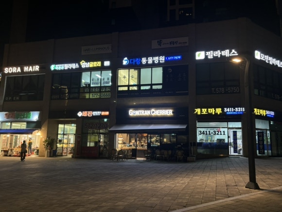 곤트란쉐리에개포 이미지