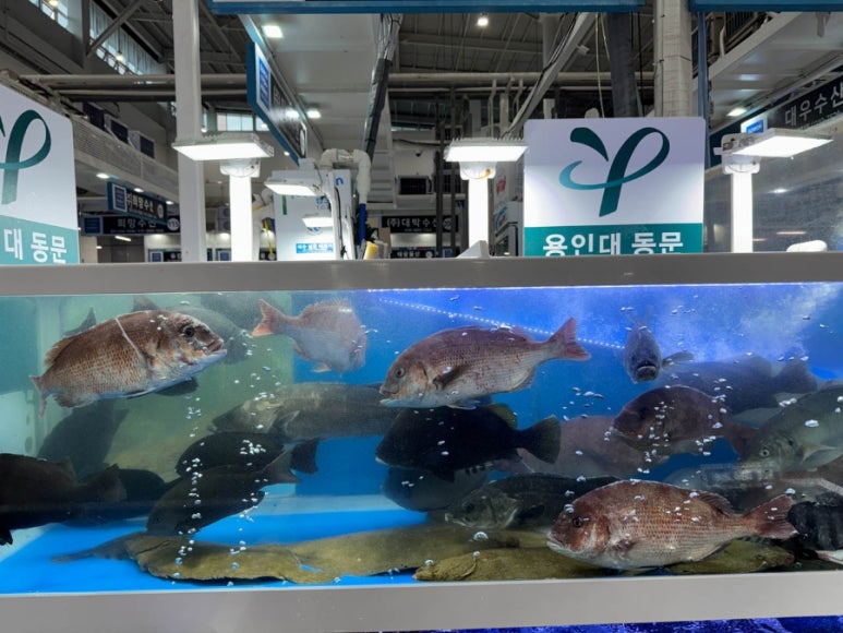 수원횟집 이미지