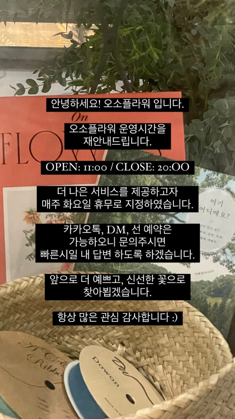 오소플라워 이미지