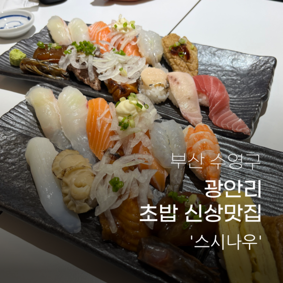 스시나우 이미지