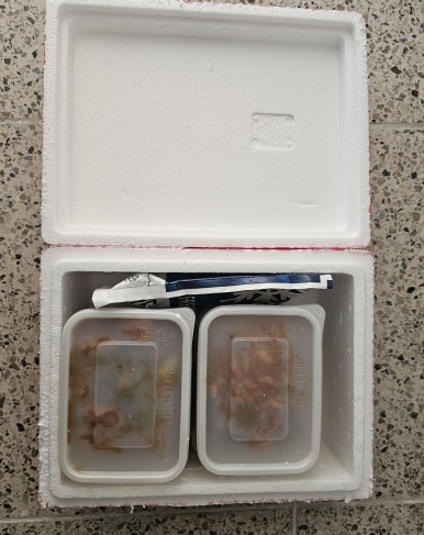 이기는면역찬 이미지