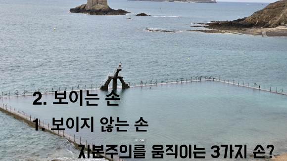 세렌디피터 이미지
