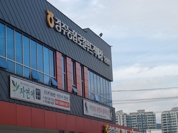 경주농협 로컬푸드직매장 용황점 이미지