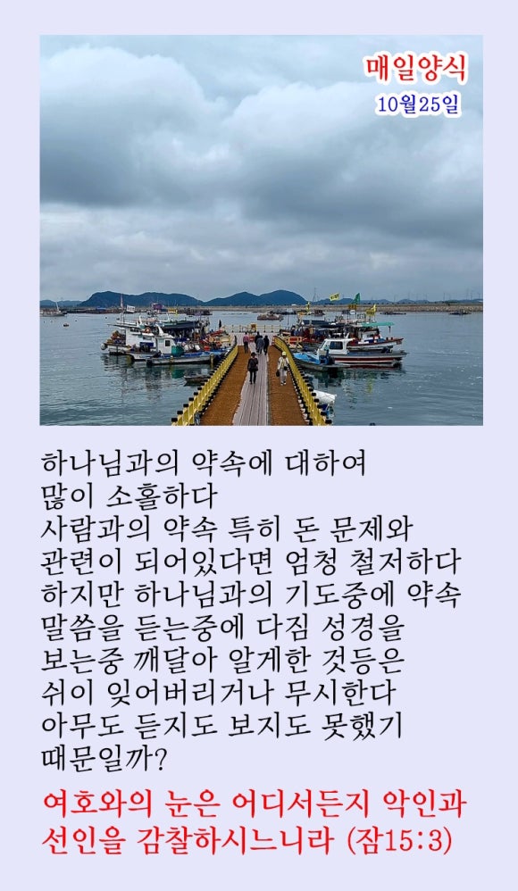 샬롬 이미지