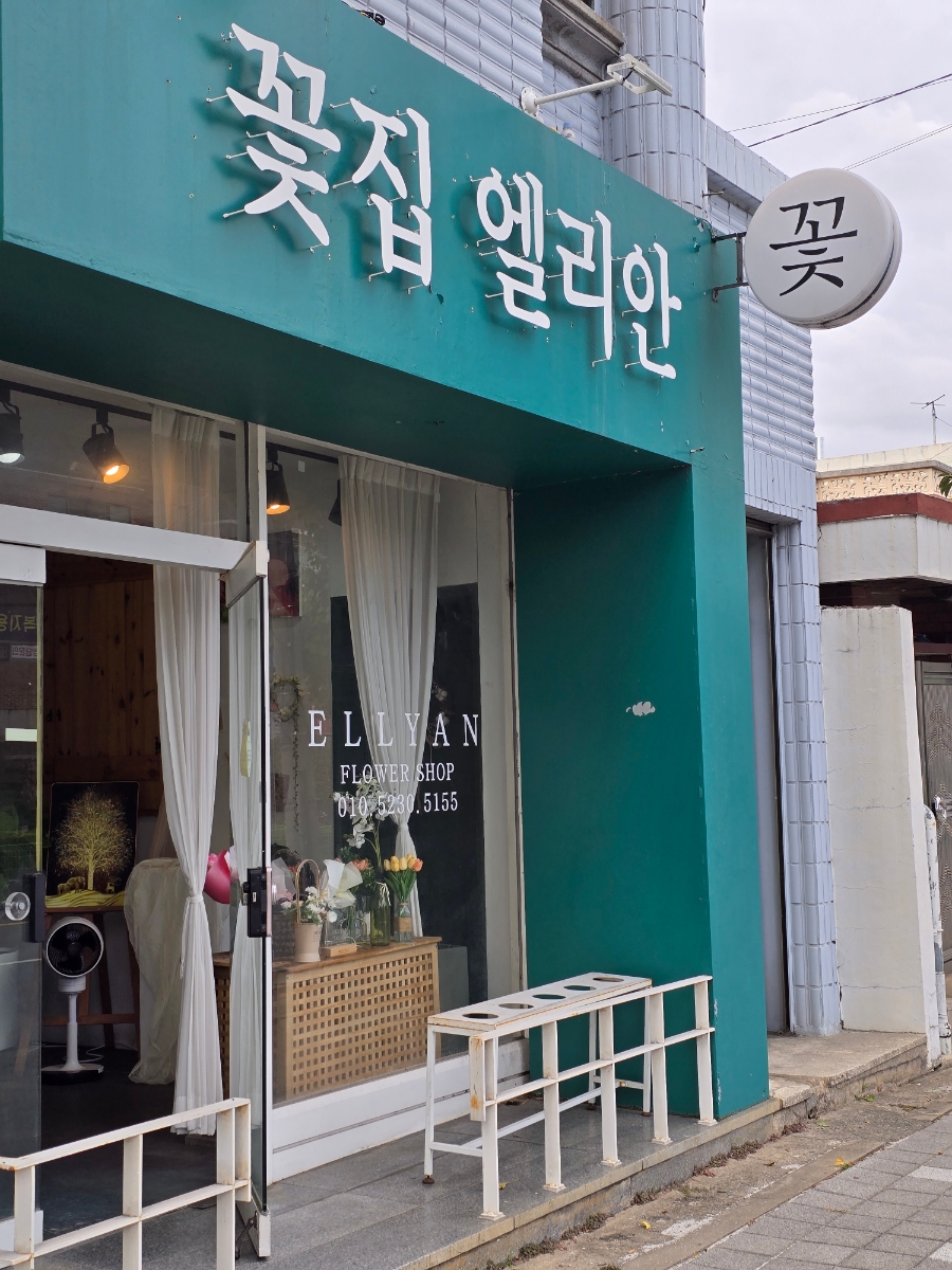 엘리안플라워 이미지