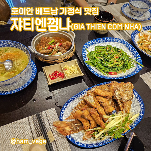 쟈티 이미지