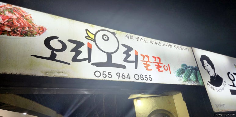오리와꿀꿀이 이미지