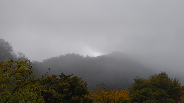 나조스트캠프 이미지