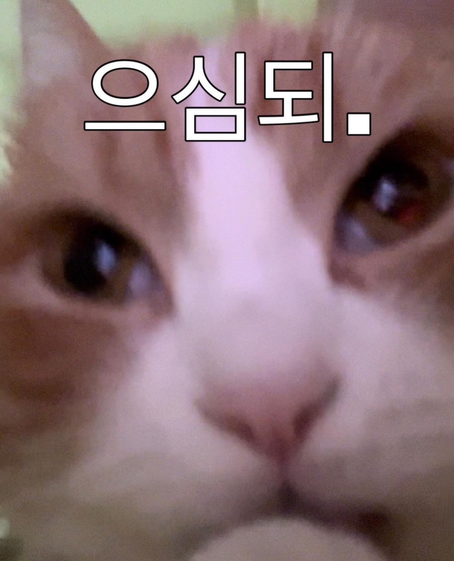 잇다카 이미지