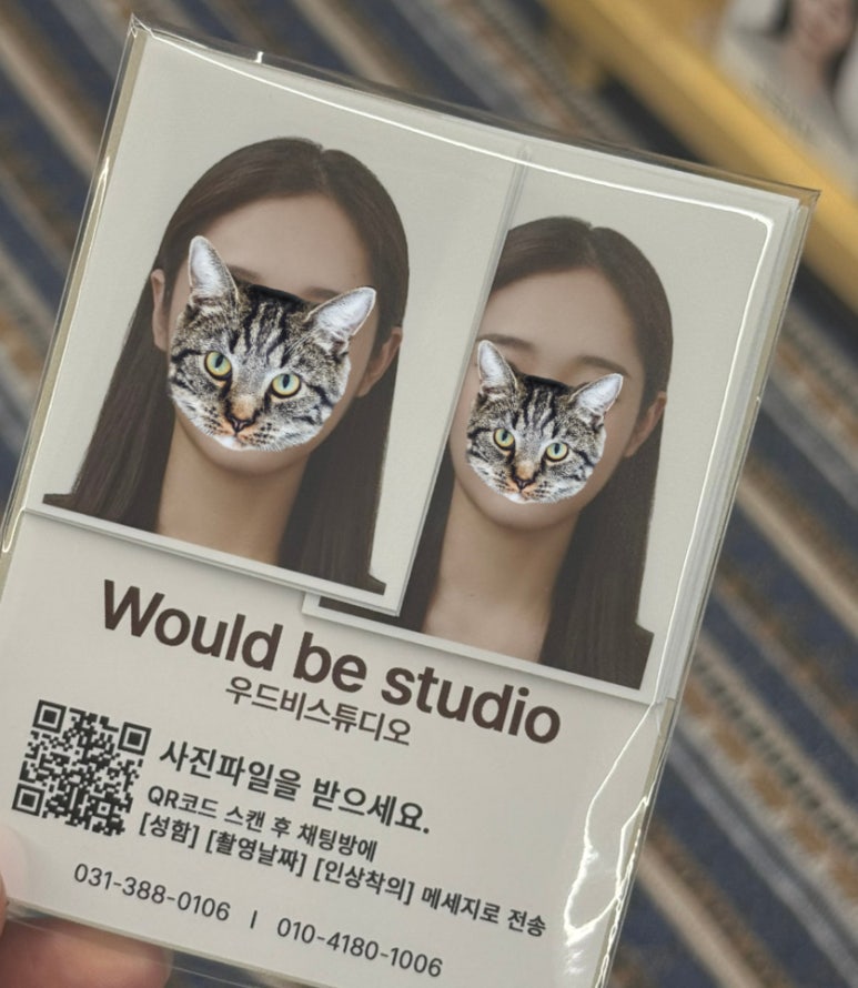 우드비스튜디오 이미지
