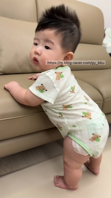 띠용 이미지