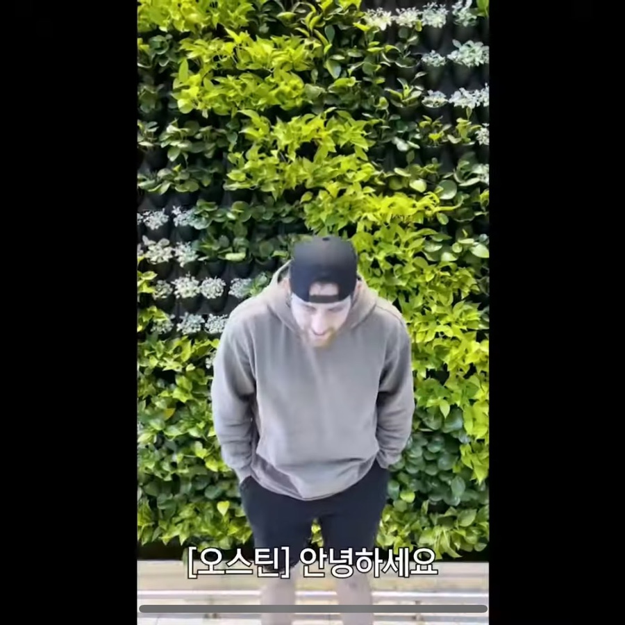 등딱지 이미지