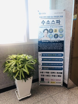 닥터수 달동점 이미지