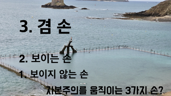 세렌디피터 이미지